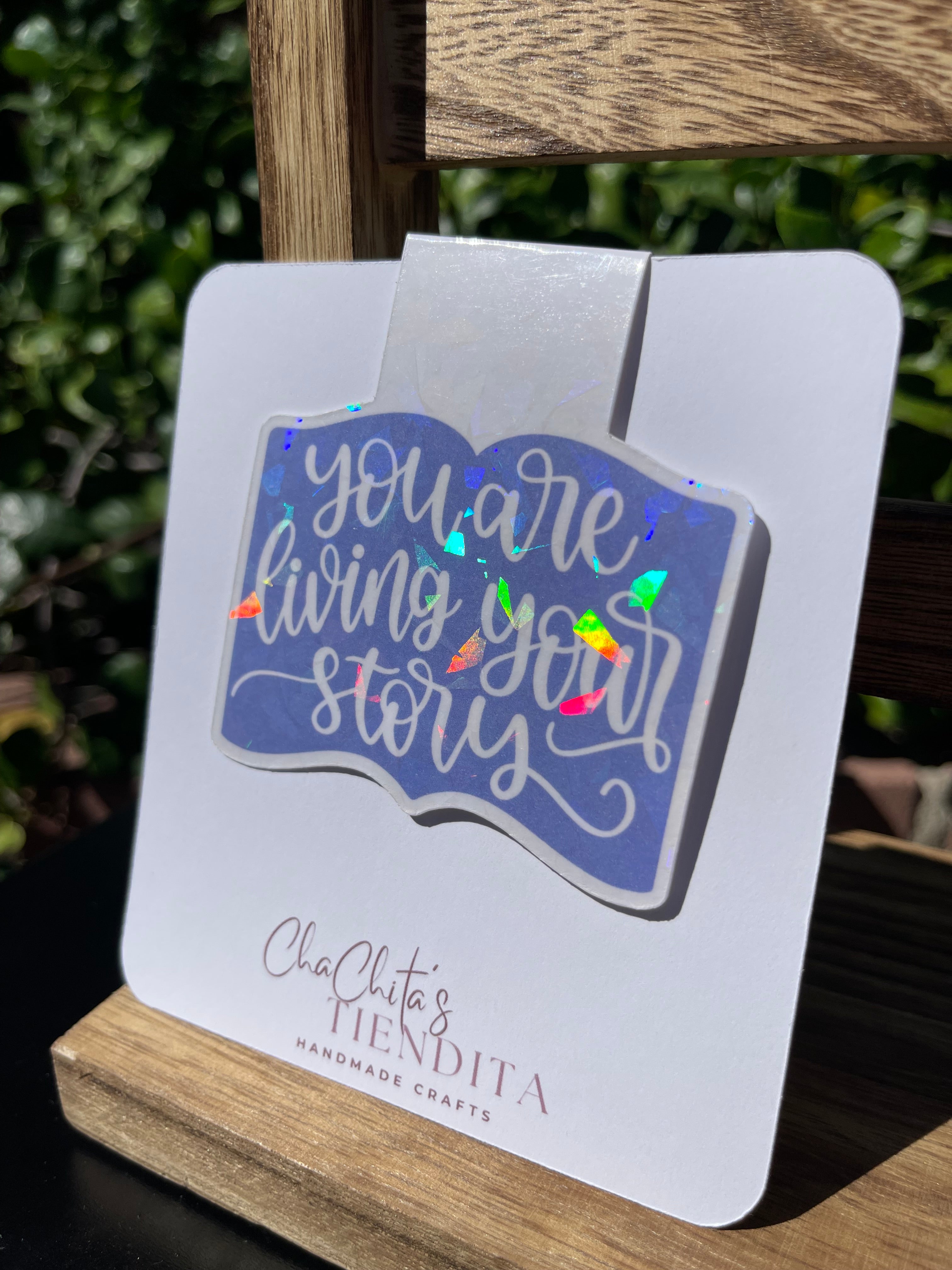 Holographic Magnetic Bookmarks